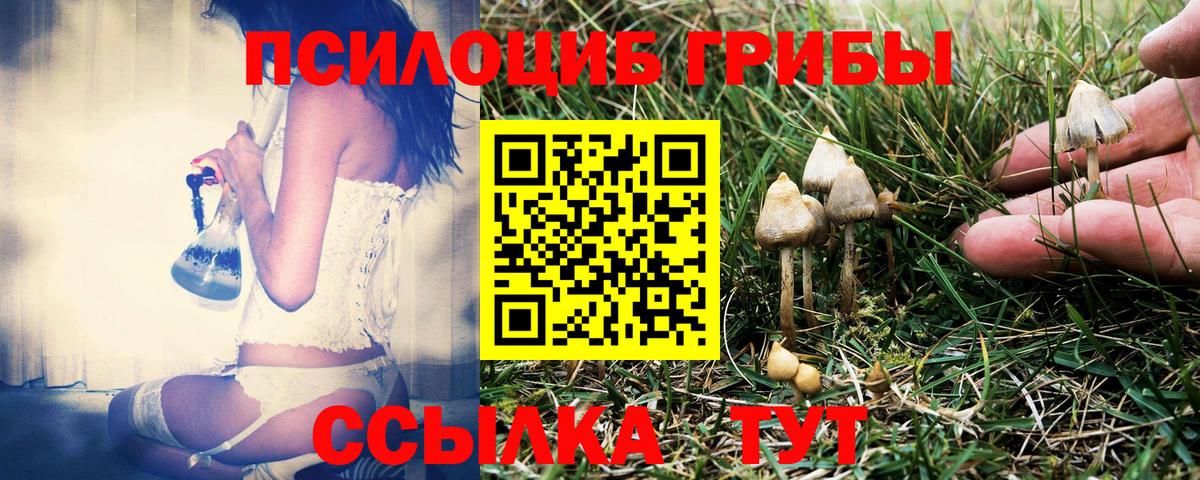 Клинцы  Псилоцибиновые грибы ЛСД  Галлюциногенные грибы Psilocybe  Вход с VPN 