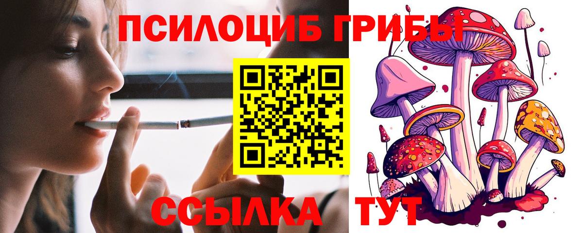 Клинцы  Вейп ТГК  МЕФ кристаллы  Экстази  Вход с VPN  ГАШИШ  КОКАИН  Конопля 
